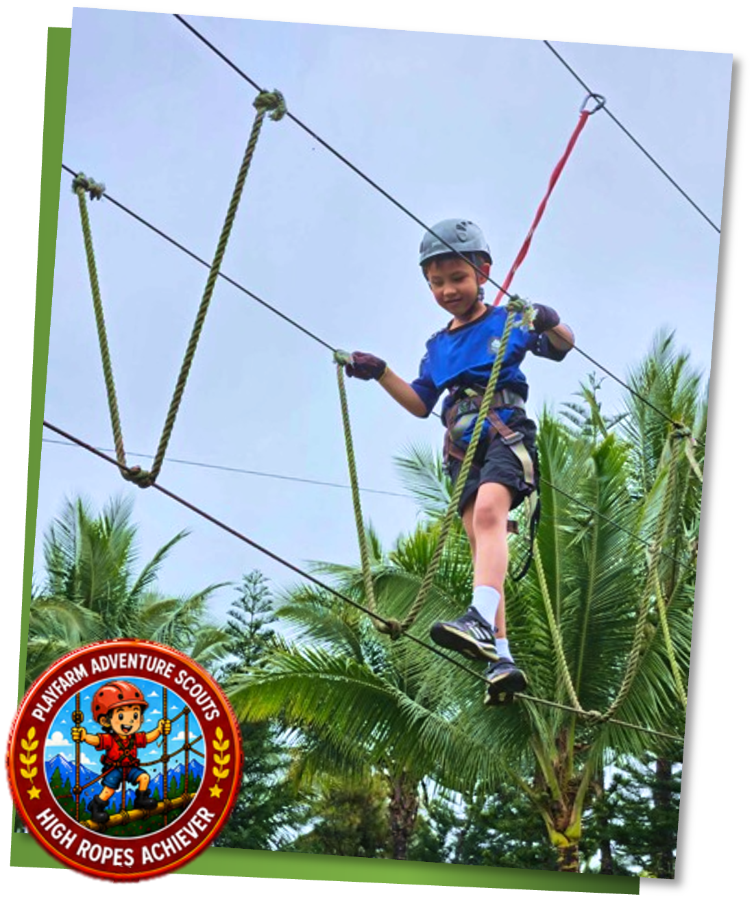 Children on the High Ropes Course